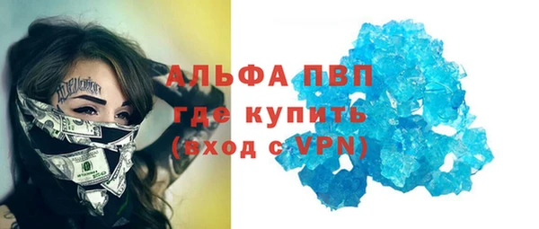 прущие грибы Абдулино