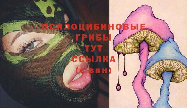 прущие грибы Абдулино