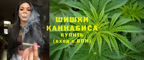 прущие грибы Абдулино