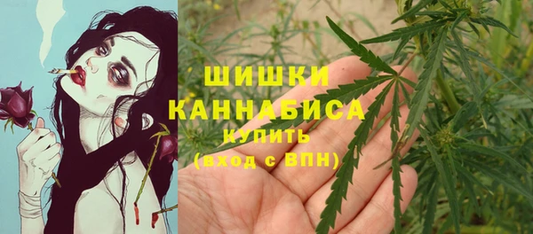 прущие грибы Абдулино