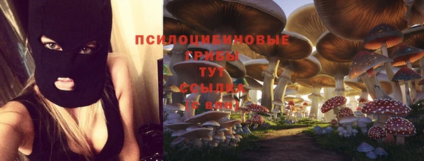 гидра Абинск
