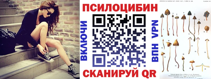 сколько стоит Зея Псилоцибиновые грибы прущие грибы